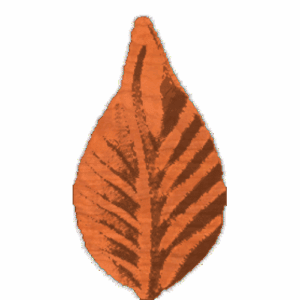 Leaf5 - CL